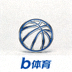 b体育官网页脚品牌标识 - 篮球造型小图标
