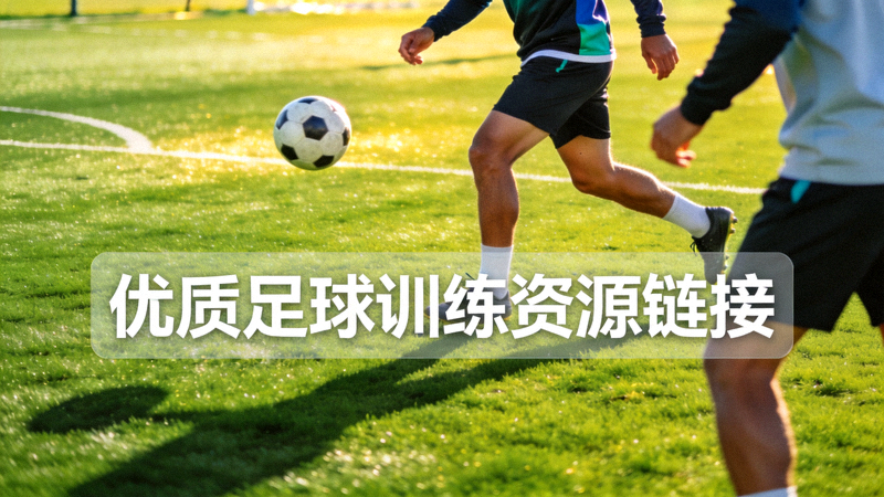 绿色草坪足球场上球员正在传球训练的体育场景，用于展示第二条SEO友好链接的配图